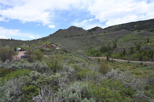 22950 Snowbird Way, Oak Creek, CO 80467