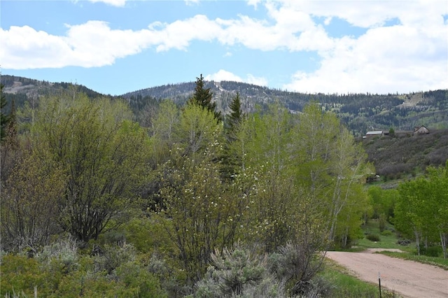 22950 Snowbird Way, Oak Creek, CO 80467