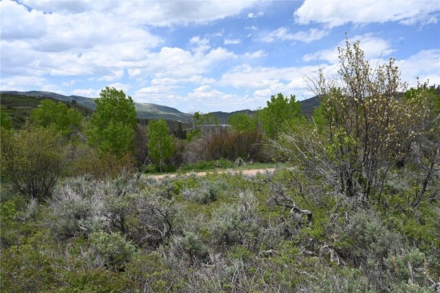 22950 Snowbird Way, Oak Creek, CO 80467