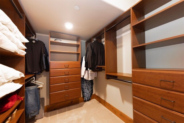 460 Two Cabins Dr, Silverthorne, CO 80498 - view of spacious closet