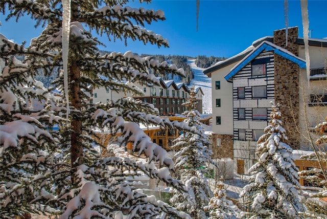 53 Hunki Dori Ct Unit 8863, Keystone, CO 80435 - view of snowy exterior