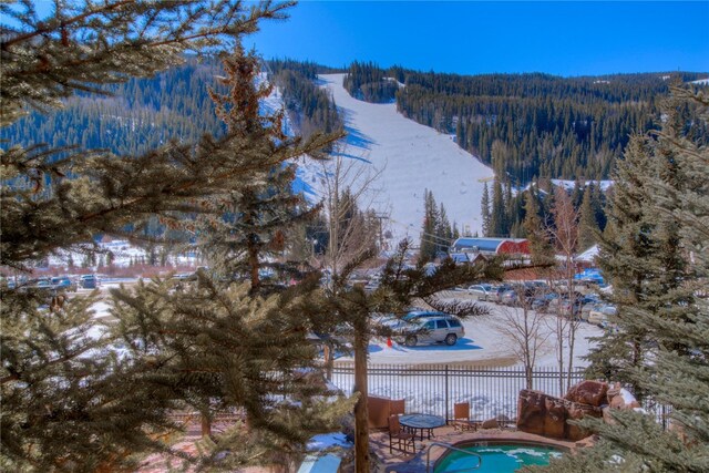 53 Hunki Dori Ct Unit 8863, Keystone, CO 80435 - water view with a heavily wooded area and fence