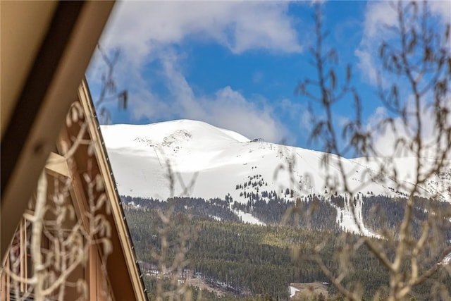 505 S Main St Unit 2207, Breckenridge, CO 80424 - view of mountain background with a forest