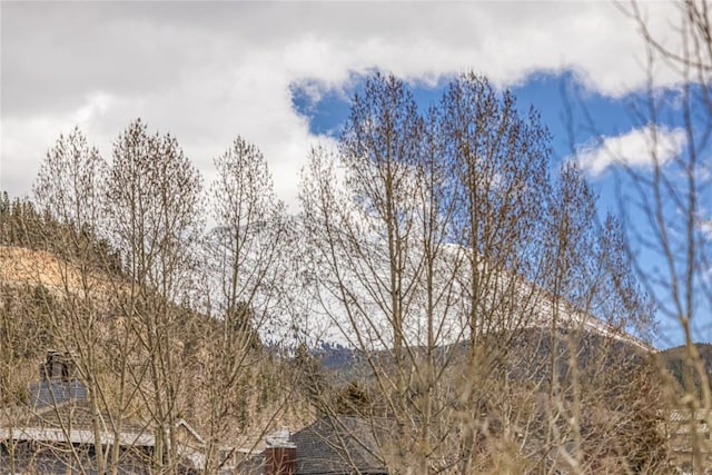 505 S Main St Unit 2207, Breckenridge, CO 80424 - view of undeveloped land