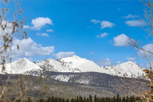 505 S Main St Unit 2207, Breckenridge, CO 80424 - view of mountain backdrop with a forest
