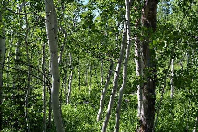 57850 Longfellow Way, Clark, CO 80428