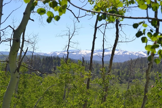 57850 Longfellow Way, Clark, CO 80428