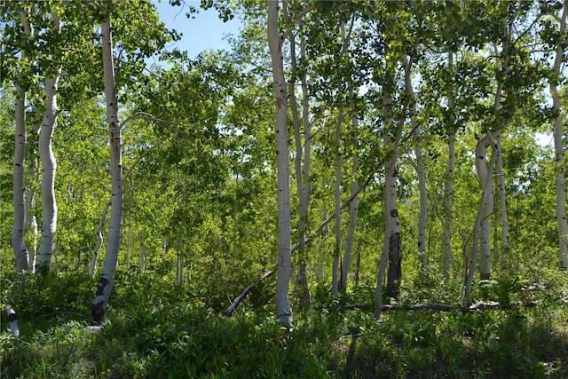 57850 Longfellow Way, Clark, CO 80428