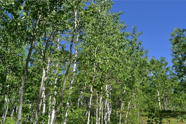 57850 Longfellow Way, Clark, CO 80428