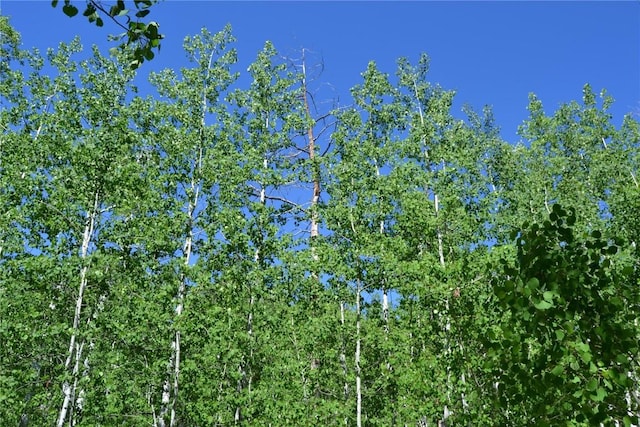 57850 Longfellow Way, Clark, CO 80428