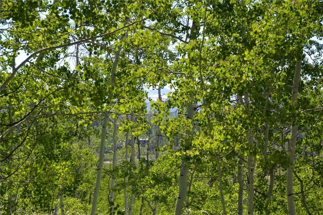 57850 Longfellow Way, Clark, CO 80428