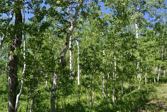 57850 Longfellow Way, Clark, CO 80428