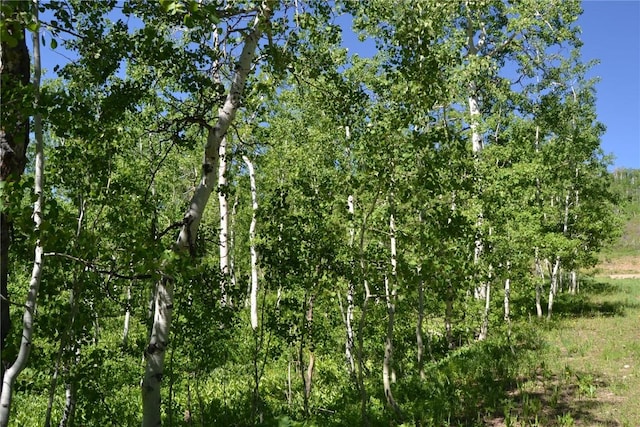 57850 Longfellow Way, Clark, CO 80428