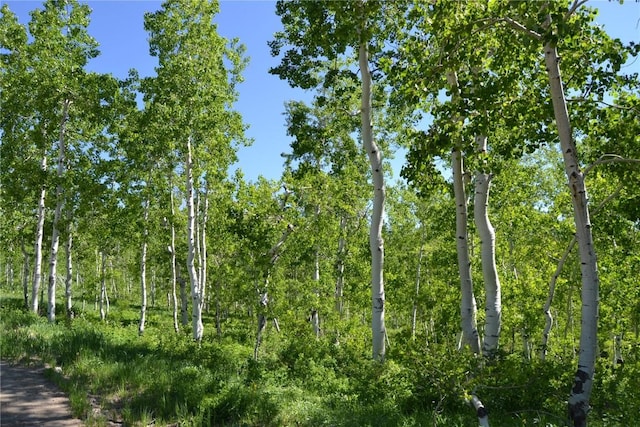 57850 Longfellow Way, Clark, CO 80428