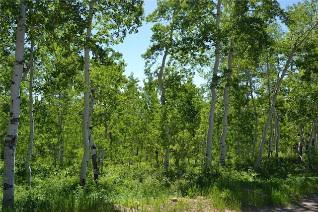 57850 Longfellow Way, Clark, CO 80428