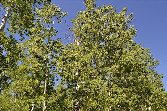 57850 Longfellow Way, Clark, CO 80428
