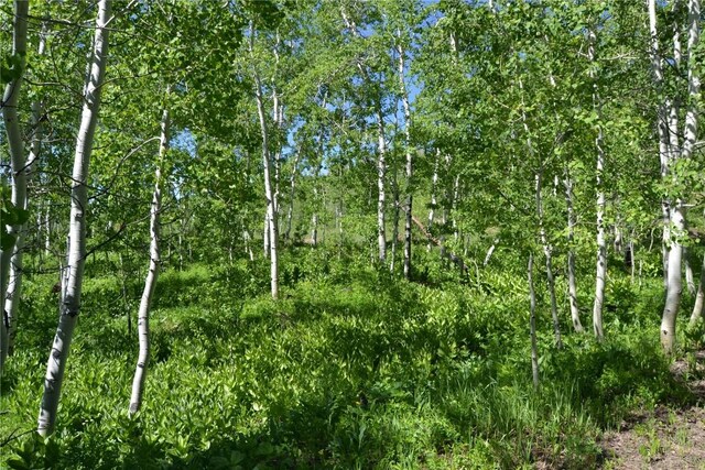 57850 Longfellow Way, Clark, CO 80428
