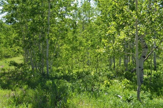 57850 Longfellow Way, Clark, CO 80428