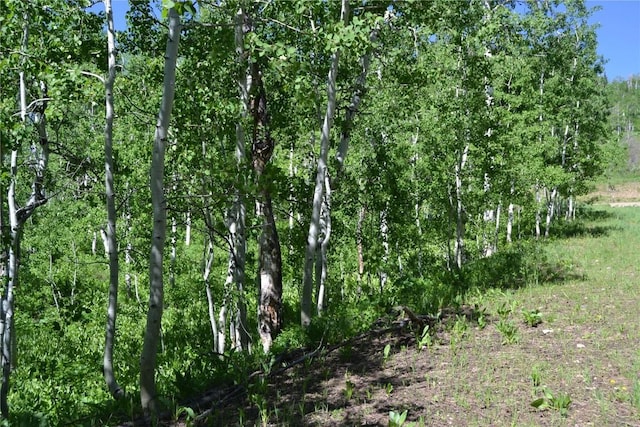 57850 Longfellow Way, Clark, CO 80428