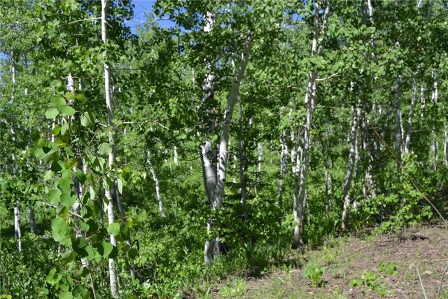 57850 Longfellow Way, Clark, CO 80428