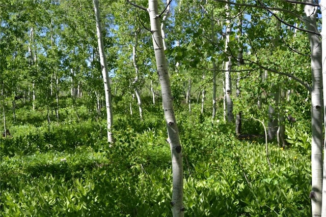 57850 Longfellow Way, Clark, CO 80428