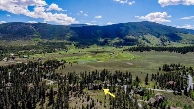 862 Penstemon Rd, Keystone, CO 80435 - property view of mountains