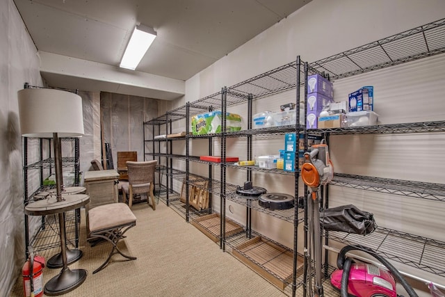 862 Penstemon Rd, Keystone, CO 80435 - view of storage room
