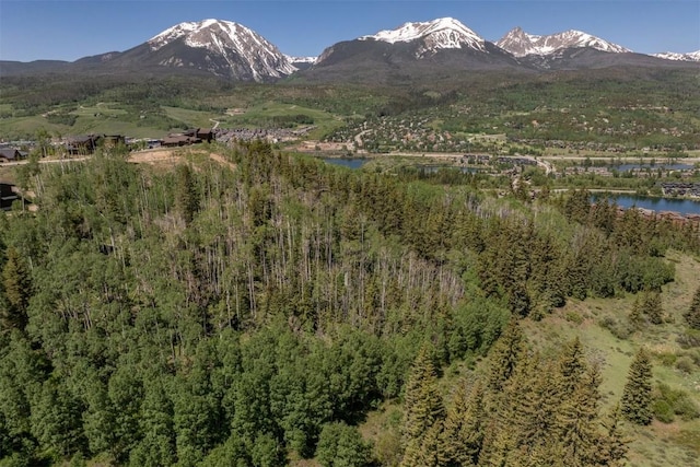 84 Mayfly Dr, Silverthorne, CO 80498