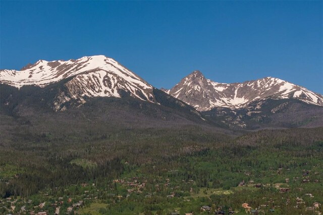 84 Mayfly Dr, Silverthorne, CO 80498
