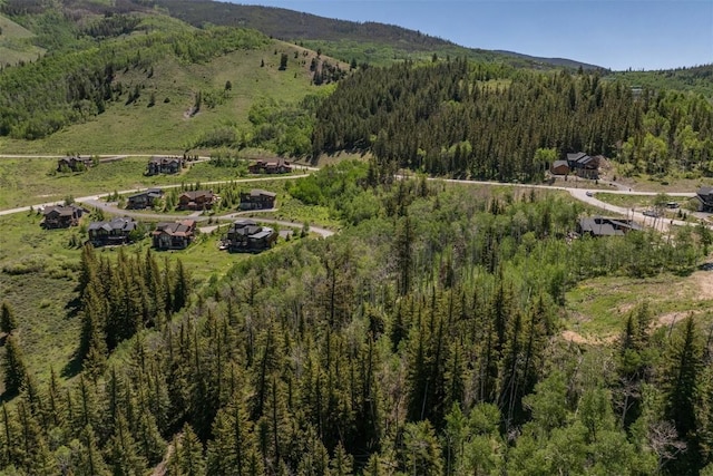 84 Mayfly Dr, Silverthorne, CO 80498