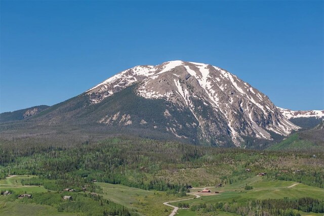 84 Mayfly Dr, Silverthorne, CO 80498