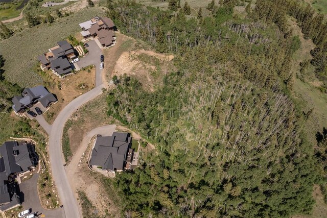 84 Mayfly Dr, Silverthorne, CO 80498