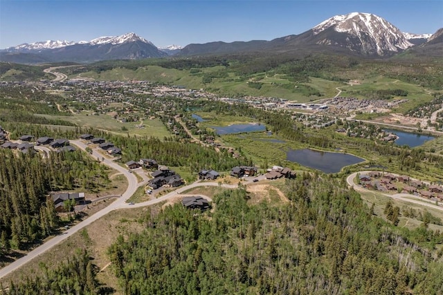84 Mayfly Dr, Silverthorne, CO 80498