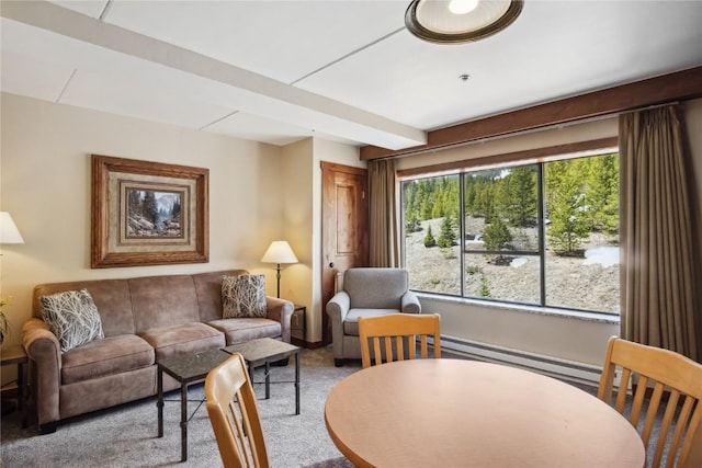 640 Village Rd Unit 4326, Breckenridge, CO 80424 - carpeted living room featuring baseboard heating