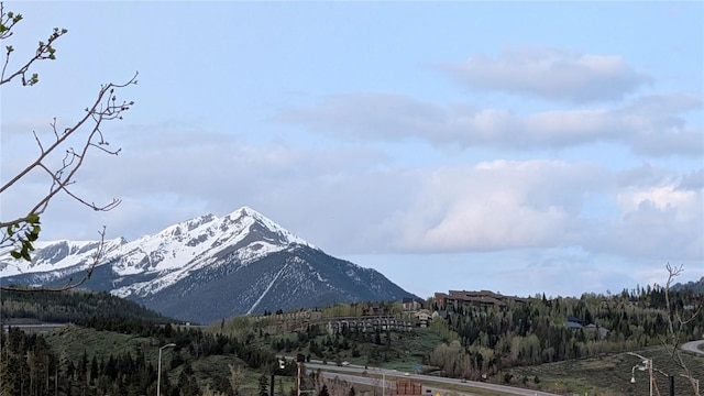 2710 Ryan Gulch Rd Unit 2731, Silverthorne, CO 80498 - view of mountain background featuring a heavily wooded area