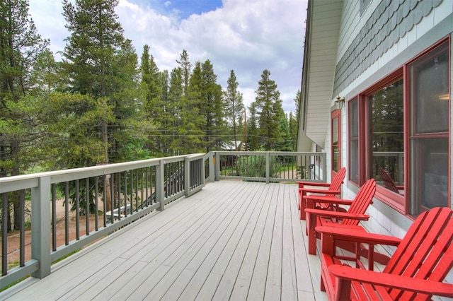 622 Blue River Rd, Blue River, CO 80424 - photo 36