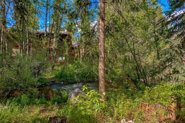 222 Creekside Dr Unit 103, Frisco, CO 80443 - photo 26