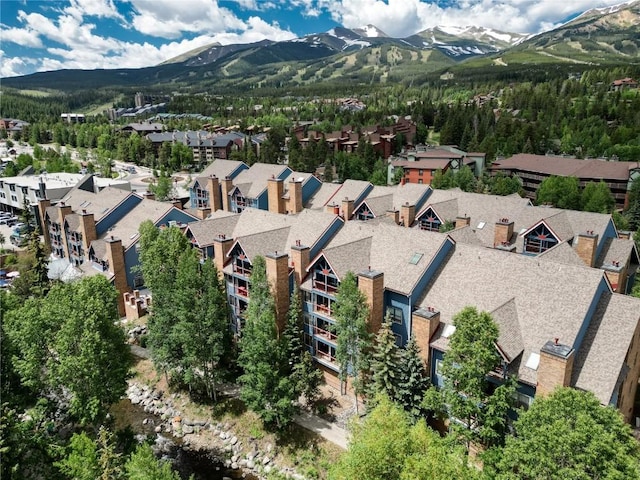 100 S Park Ave Unit E202, Breckenridge, CO 80424 - photo 42
