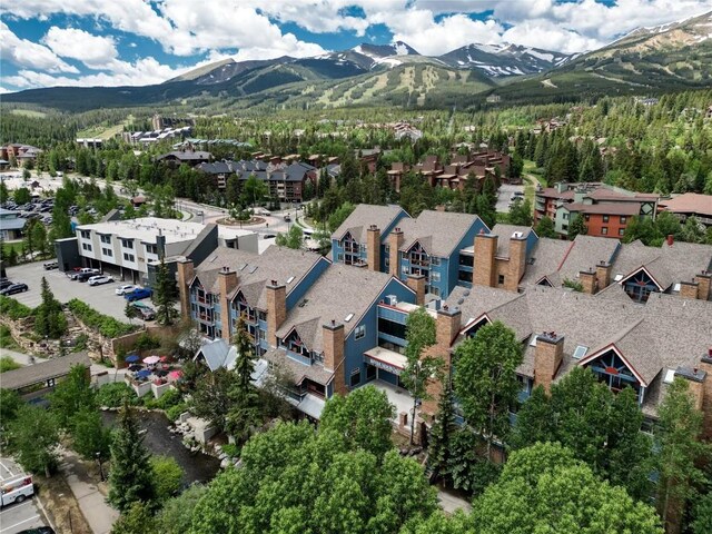 100 S Park Ave Unit E202, Breckenridge, CO 80424 - photo 1