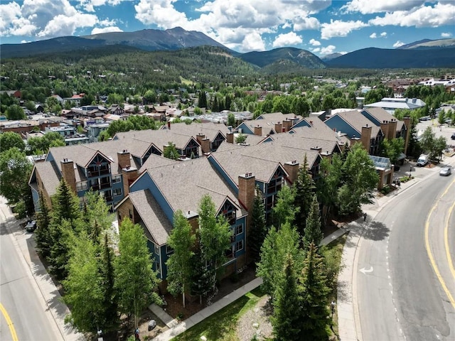 100 S Park Ave Unit E202, Breckenridge, CO 80424 - photo 44
