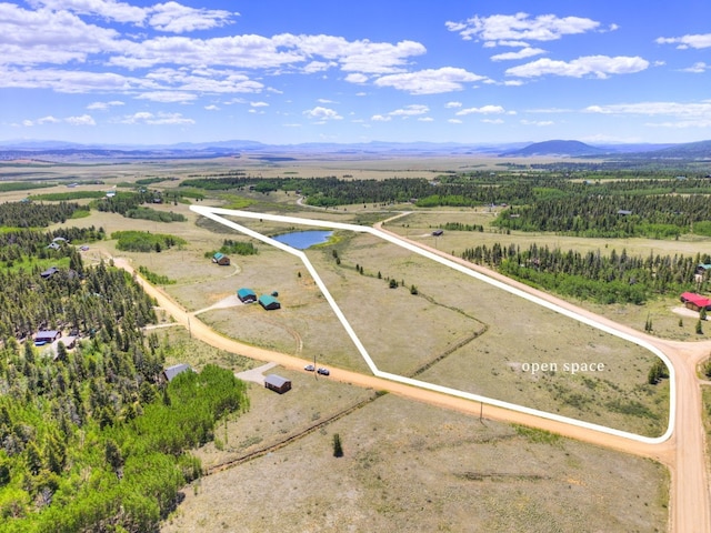 103 Foxtail Ct, Fairplay, CO 80440 - aerial view of sparsely populated area featuring mountains and property parcel outlined