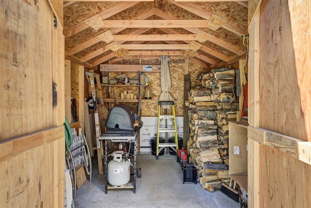 103 Foxtail Ct, Fairplay, CO 80440 - view of storage area