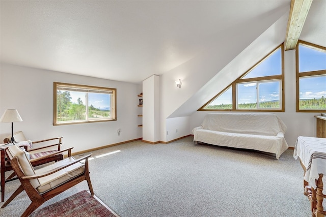 103 Foxtail Ct, Fairplay, CO 80440 - living area featuring carpet floors and lofted ceiling