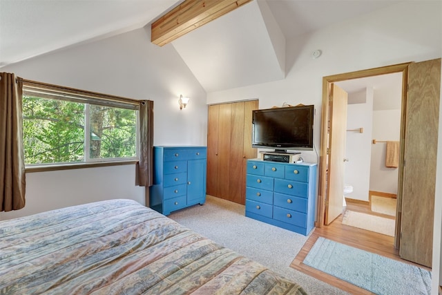 103 Foxtail Ct, Fairplay, CO 80440 - bedroom featuring light carpet, a closet, and ensuite bathroom