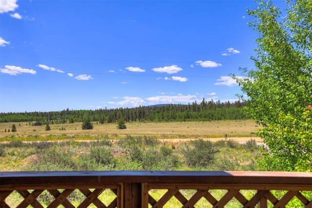 103 Foxtail Ct, Fairplay, CO 80440 - view of yard with a view of rural / pastoral area