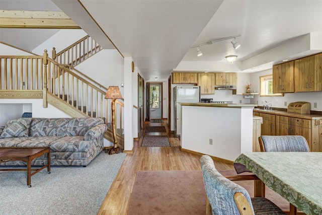 103 Foxtail Ct, Fairplay, CO 80440 - kitchen with light wood-style flooring, freestanding refrigerator, under cabinet range hood, track lighting, and brown cabinetry