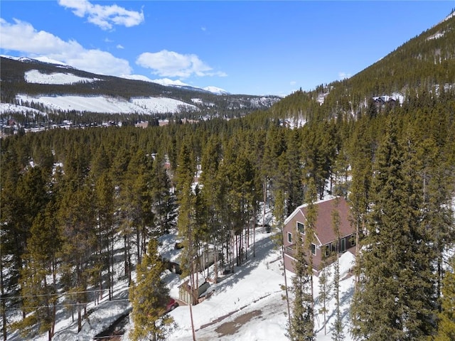 225 Creek Side Dr, Blue River, CO 80424 - photo 5