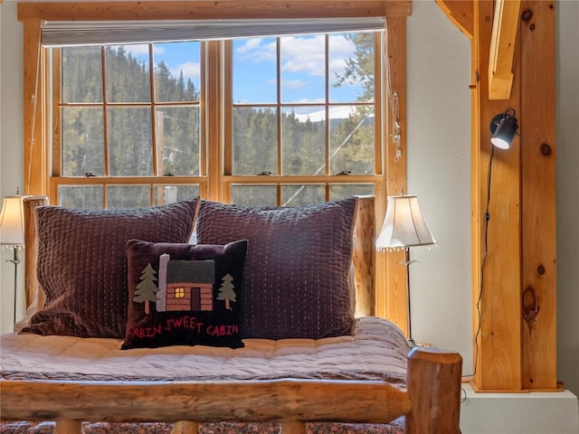 225 Creek Side Dr, Blue River, CO 80424 - photo 21