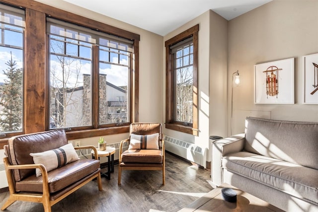 600 Columbine Rd Unit 5306, Breckenridge, CO 80424 - sitting room with radiator heating unit, wood finished floors, and baseboards