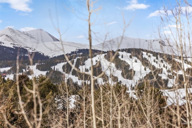 600 Columbine Rd Unit 5306, Breckenridge, CO 80424 - mountain view